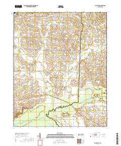 Tatumville 2019 topographic map thumbnail