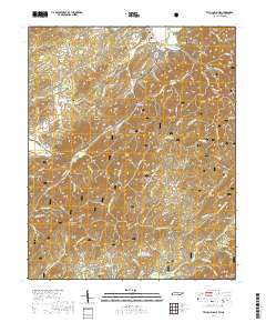 Tellico Plains 2019 topographic map thumbnail
