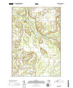 Cedar Lake 2019 topographic map thumbnail