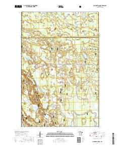 Coddington Lake 2019 topographic map thumbnail
