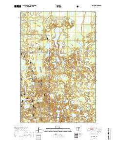 Coon Lake 2019 topographic map thumbnail