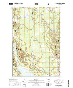 Little Ball Club Lake 2019 topographic map thumbnail
