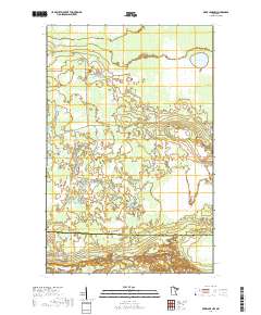 Deer Lake NW 2019 topographic map thumbnail