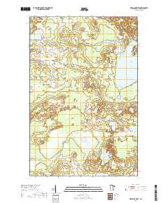 Deer Lake West 2019 topographic map thumbnail