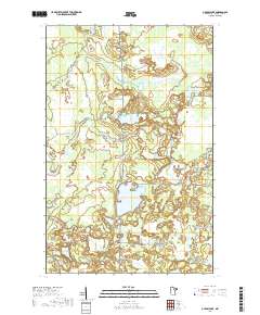 O'Leary Lake 2019 topographic map thumbnail