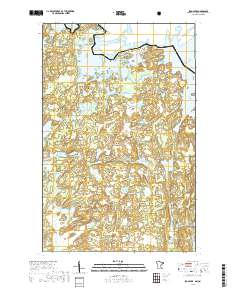Iron Lake 2019 topographic map thumbnail