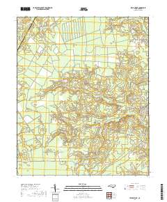 Lewis Swamp 2019 topographic map thumbnail