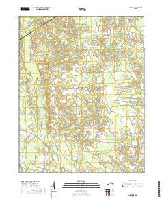 Vicksville 2019 topographic map thumbnail