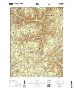 Lynch 2019 topographic map thumbnail