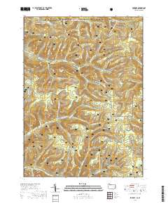 Stickney 2019 topographic map thumbnail
