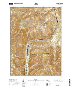 Beaver Dams 2019 topographic map thumbnail