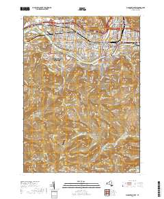 Binghamton West 2019 topographic map thumbnail