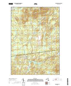 Bloomingdale 2019 topographic map thumbnail