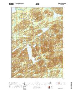 Brandreth Lake 2019 topographic map thumbnail