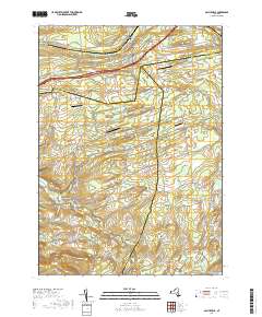 Gallupville 2019 topographic map thumbnail