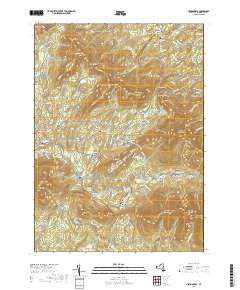 Hensonville 2019 topographic map thumbnail