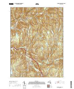 Livingston Manor 2019 topographic map thumbnail