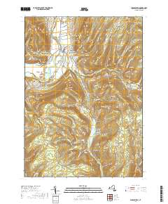 Middleburgh 2019 topographic map thumbnail