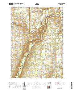 Mount Morris 2019 topographic map thumbnail