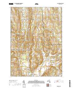 Munnsville 2019 topographic map thumbnail