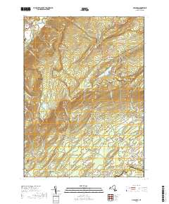 Napanoch 2019 topographic map thumbnail