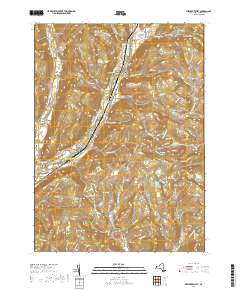 Newark Valley 2019 topographic map thumbnail