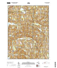 Peach Lake 2019 topographic map thumbnail