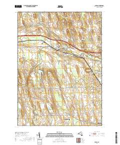 Phelps 2019 topographic map thumbnail
