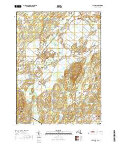 Pine Island 2019 topographic map thumbnail