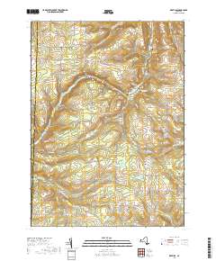 Rexville 2019 topographic map thumbnail