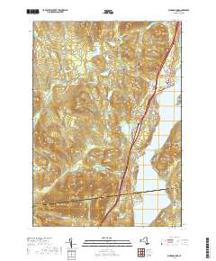 Schroon Lake 2019 topographic map thumbnail