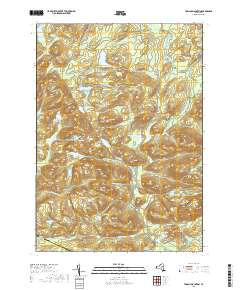 Tomany Mountain 2019 topographic map thumbnail