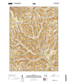 Troupsburg 2019 topographic map thumbnail