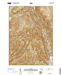 West Danby 2019 topographic map thumbnail