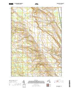 West Lowville 2019 topographic map thumbnail