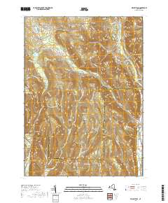 Willseyville 2019 topographic map thumbnail