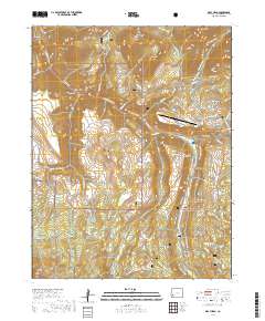 Gray Head 2019 topographic map thumbnail