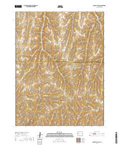 McCarthy Gulch 2019 topographic map thumbnail
