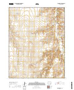 Toonerville SE 2019 topographic map thumbnail