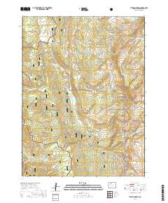 Tyler Mountain 2019 topographic map thumbnail