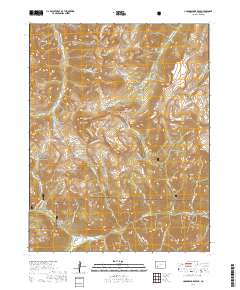Uncompahgre Peak 2019 topographic map thumbnail