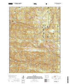 Walton Peak 2019 topographic map thumbnail