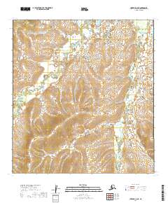 Iditarod C-6 NE topographic map thumbnail