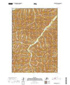 Sleetmute D-5 SW topographic map thumbnail