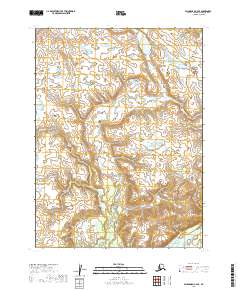 Dillingham C-4 SE topographic map thumbnail