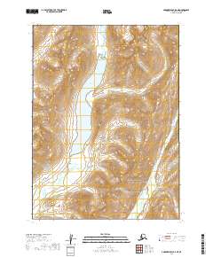 Goodnews Bay D-2 NE topographic map thumbnail