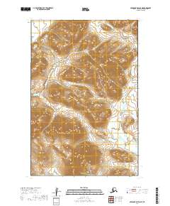 Nushagak Bay D-5 NE topographic map thumbnail