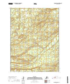 Dillingham D-5 SW topographic map thumbnail