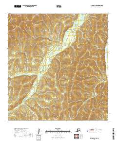 Iditarod A-1 NW topographic map thumbnail