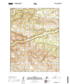 Dillingham C-5 NE topographic map thumbnail